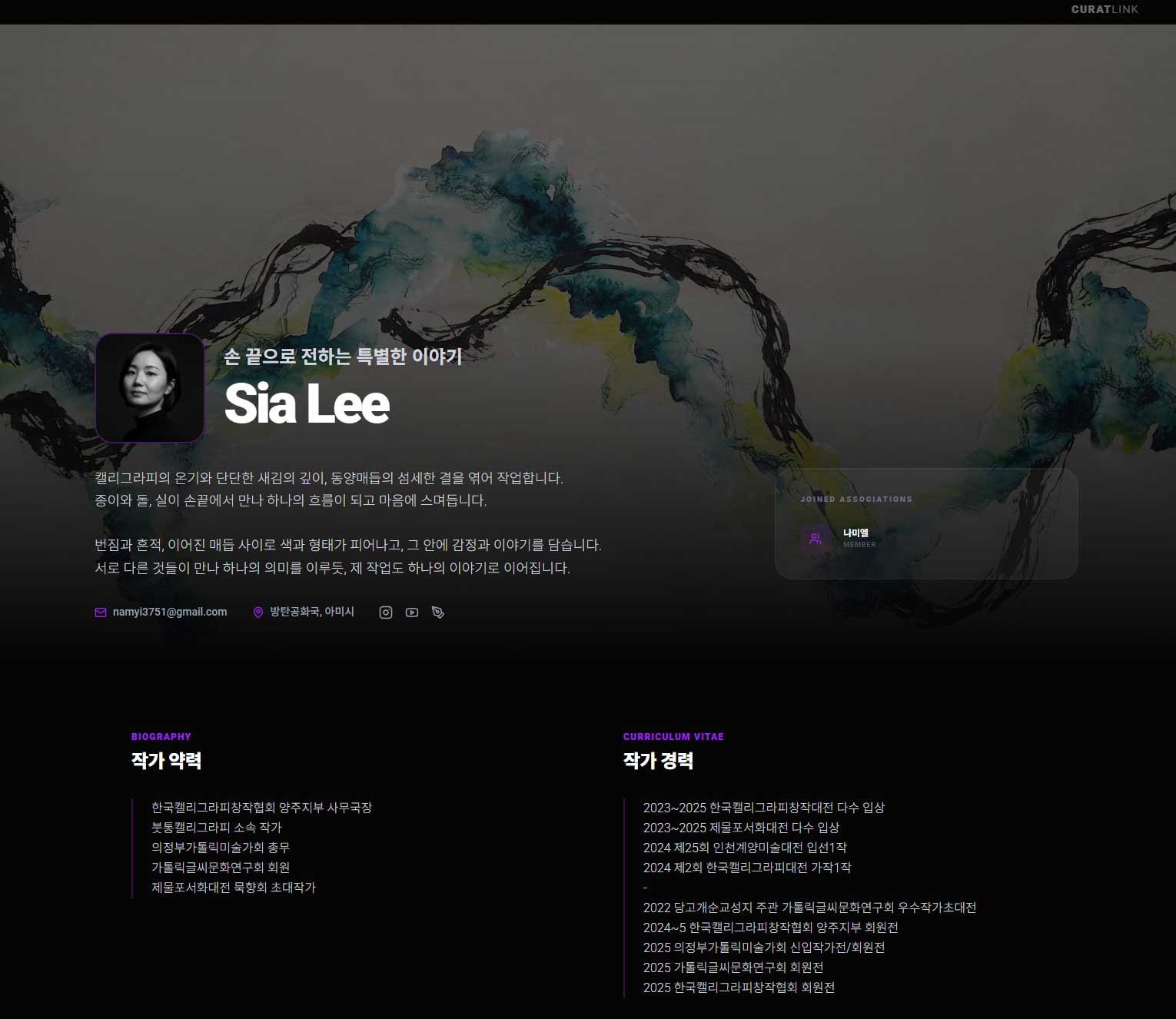 Artist Profile Showcase